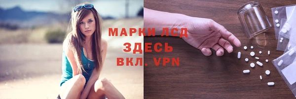 сатива Алзамай